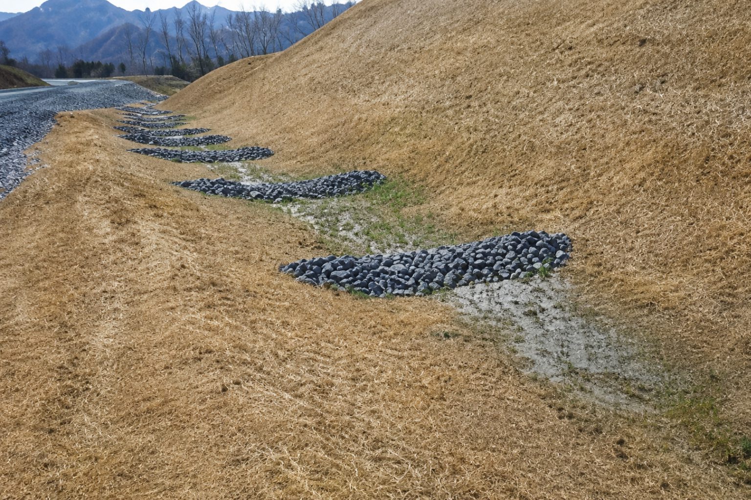 Erosion control with rocks on grassy slope.